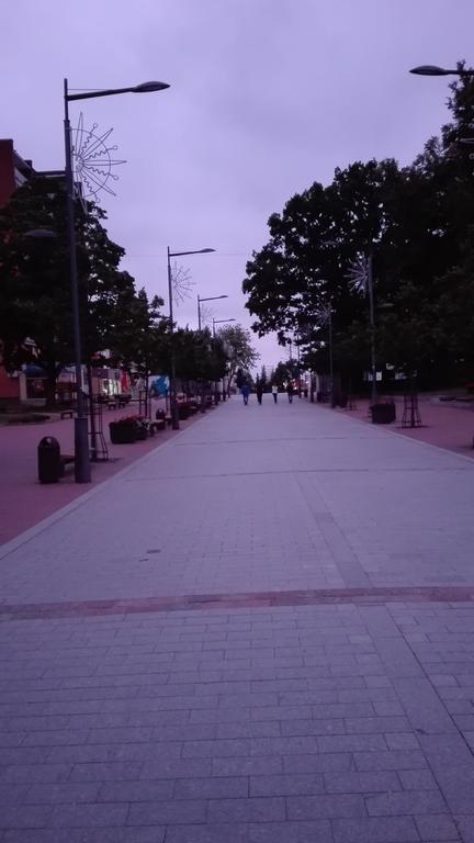 Šiauliai Jaukus Butas Siauliu Miesto Centre 아파트 외부 사진